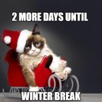 Winter Break | 2 MORE DAYS UNTIL; WINTER BREAK | image tagged in grumpy cat christmas hd | made w/ Imgflip meme maker
