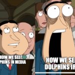 huh | HOW WE SEE DOLPHINS IRL; HOW WE SEE DOLPHINS IN MEDIA | image tagged in quagmire in shock,quagmire | made w/ Imgflip meme maker