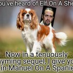 Lin-Manuel in an unusual position | You've heard of Elf On A Shelf; Now in a tenuously rhyming sequel, I give you
Lin-Manuel On A Spaniel | image tagged in cavalier king charles spaniel,elf on the shelf | made w/ Imgflip meme maker