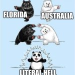 Do not combine | FLORIDA; AUSTRALIA; LITERAL HELL | image tagged in combine meme | made w/ Imgflip meme maker