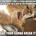 when you leave a small spot of dirt on a dish in the dishwasher | MY DAD WHEN I LEAVE A LITERAL MICROSCOPIC SPEC OF DIRT ON A DISH IN THE DISHWASHER; DAD: YOUR GONNA BREAK IT! | image tagged in angry cat | made w/ Imgflip meme maker