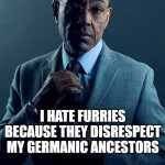 we are not the same in views | YOU HATE FURRIES BECAUSE THEY ARE WEIRD AND DISGUSTING; I HATE FURRIES BECAUSE THEY DISRESPECT MY GERMANIC ANCESTORS | image tagged in we are not the same | made w/ Imgflip meme maker