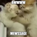 Kitty massage | AWWWW; MEWSSAGE | image tagged in kitty massage | made w/ Imgflip meme maker