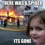Arson Girl | THERE WAS A SPIDER; ITS GONE | image tagged in arson girl | made w/ Imgflip meme maker