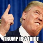 TRUMP IS A IDIOT | TRUMP IS A IDIOT | image tagged in donald trump | made w/ Imgflip meme maker