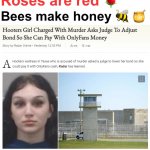 Roses are red, bees make honey | Roses are red 🌹; Bees make honey 🐝 🍯 | image tagged in hooters girl charged,roses are red,bees make honey,onlyfans,hooters girls,murder | made w/ Imgflip meme maker