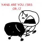 YANG ARE YOU /SRS OR /J meme