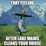 That feeling after Lake Maids clean your house | THAT FEELING; AFTER LAKE MAIDS CLEANS YOUR HOUSE | image tagged in that feeling when | made w/ Imgflip meme maker