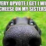 upvote | EVERY UPVOTE I GET I WILL SLAP CHEESE ON MY SISTERS HEAD | image tagged in upvote | made w/ Imgflip meme maker