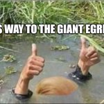 Come on down (attention mods: he is holding his breath not drowning) | THIS WAY TO THE GIANT EGRESS | image tagged in trump swamp creature,censored | made w/ Imgflip meme maker