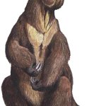 Mapinguari