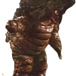 King Maimai Larva