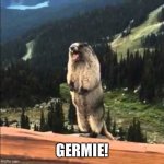 Screaming beaver | GERMIE! | image tagged in screaming beaver | made w/ Imgflip meme maker