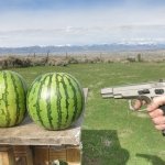 Watermelons vs gun meme