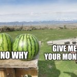 Watermelons are refusing to give the gun their money | NO WHY; GIVE ME YOUR MONEY | image tagged in watermelons vs gun | made w/ Imgflip meme maker