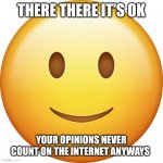 The best emoji to troll somebody | THERE THERE IT'S OK; YOUR OPINIONS NEVER COUNT ON THE INTERNET ANYWAYS | image tagged in smiley emoji,troll,splish splash your opinion is trash | made w/ Imgflip meme maker