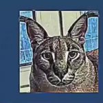 Cat Jumpscare GIF Template