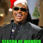 Not meant to offend anyone | SEASON OF WONDER | image tagged in stevie wonder,merry christmas,seasons,greetings,bad puns,funny memes | made w/ Imgflip meme maker