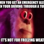 Basically the movie "Tunnel" in a nutshell | WHEN YOU GET AN EMERGENCY ALERT WHEN YOUR DRIVING THROUGH A TUNNEL; AND IT'S NOT FOR FREEZING WEATHER | image tagged in scared sullivan,funny,fun,oh wow are you actually reading these tags | made w/ Imgflip meme maker