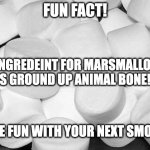 Marshmallow | FUN FACT! AN INGREDEINT FOR MARSMALLOWS IS GROUND UP ANIMAL BONE! HAVE FUN WITH YOUR NEXT SMORE! | image tagged in marshmallow | made w/ Imgflip meme maker