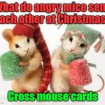christmas mice | What do angry mice send each other at Christmas? Cross mouse cards | image tagged in christmas mice | made w/ Imgflip meme maker