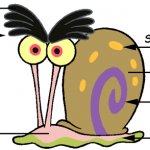 Larry The Snail