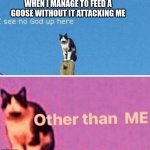 God | WHEN I MANAGE TO FEED A GOOSE WITHOUT IT ATTACKING ME | image tagged in i see no god up here other than me | made w/ Imgflip meme maker
