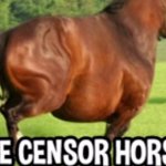 THE CENSOR HORSE