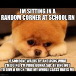 downvote to save me (it's not upvote begging so take that haters) | IM SITTING IN A RANDOM CORNER AT SCHOOL RN; IF SOMEONE WALKS BY AND ASKS WHAT I'M DOING, I'M PROB GONNA SAY, TRYING NOT TO GIVE A FRICK THAT MY WHOLE CLASS HATES ME | image tagged in sad dog | made w/ Imgflip meme maker