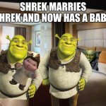congrats shrek, your baby is a son. | SHREK MARRIES SHREK AND NOW HAS A BABY. | image tagged in cruise ship bedroom | made w/ Imgflip meme maker