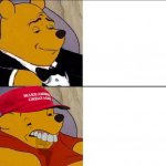 Fancy Pooh vs. MAGA pooh