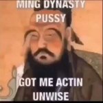 Ming Dynasty Wise Man