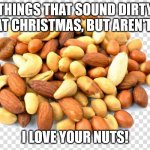 Things That Sound Dirty at Christmas | THINGS THAT SOUND DIRTY AT CHRISTMAS, BUT AREN'T:; I LOVE YOUR NUTS! | image tagged in mixed nuts,humor,funny,double entendre | made w/ Imgflip meme maker