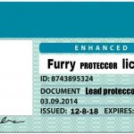 Furry Proteccor License