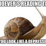 SNAIL | WHOEVER'S READING THIS; SIT UP YOU LOOK LIKE A DEPRESSED SNAIL | image tagged in snail | made w/ Imgflip meme maker