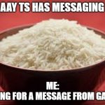 All this rice | YAAAAAY TS HAS MESSAGING NOW; ME:
WAITING FOR A MESSAGE FROM GAMBIA | image tagged in all this rice | made w/ Imgflip meme maker