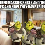 trip trip them triplets | SHREK MARRIES SHREK AND THEN SHREK AND NOW THEY HAVE TRIPLETS. | image tagged in cruise ship bedroom | made w/ Imgflip meme maker