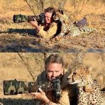 Photographer with cheetah