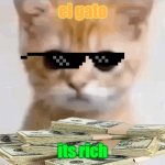 rich gato | el gato; its rich | image tagged in el gato,rich,money,funny meme | made w/ Imgflip meme maker
