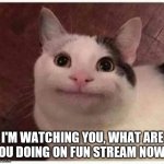 I AM WATCHING YOU! | I'M WATCHING YOU, WHAT ARE YOU DOING ON FUN STREAM NOW... | image tagged in polite cat,memes,funny,watching,stare,beluga | made w/ Imgflip meme maker