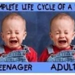 Life cycle of a liberal