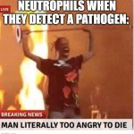 Man too Angry  to die | NEUTROPHILS WHEN THEY DETECT A PATHOGEN: | image tagged in man too angry to die | made w/ Imgflip meme maker