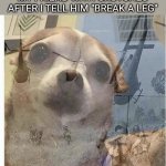 PTSD Chihuahua Meme Generator - Imgflip