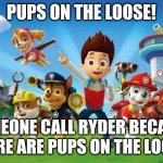 Paw Patrol  | PUPS ON THE LOOSE! SOMEONE CALL RYDER BECAUSE THERE ARE PUPS ON THE LOOSE! | image tagged in paw patrol | made w/ Imgflip meme maker