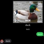 duck template