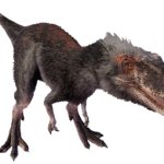 Moros 3