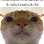 I never check school email | Teacher: Please reply to this email by the 12th; Me reading the email on the 15th: | image tagged in bruh face cat,memes,funny,funny memes,animals,cats | made w/ Imgflip meme maker