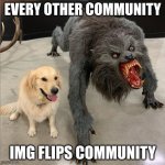 love all of yall | EVERY OTHER COMMUNITY; IMG FLIPS COMMUNITY | image tagged in dog vs wolf | made w/ Imgflip meme maker