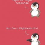 flight or fight response,flightless bird meme