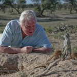 David Attenborough observing wild animal